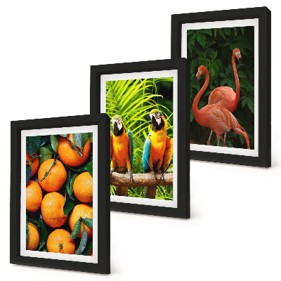 Bilderwand Fruchtige Akzente mit Papageien und Flamingos in den Tropen