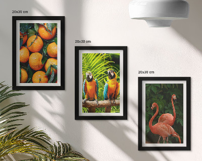 Bilderwand Fruchtige Akzente mit Papageien und Flamingos in den Tropen
