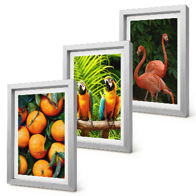 Bilderwand Fruchtige Akzente mit Papageien und Flamingos in den Tropen