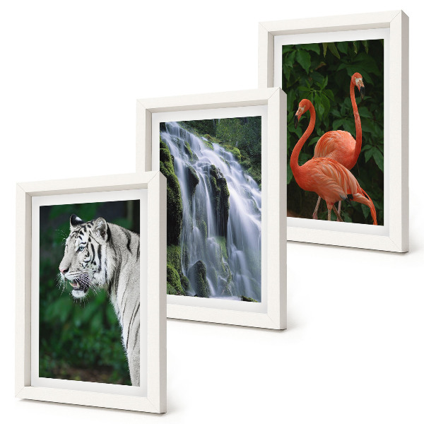 Bilderset mit rahmen Tigerwasserfall und rosa Flamingos in der Natur