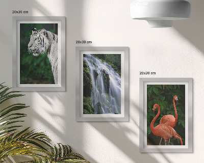 Bilderset mit rahmen Tigerwasserfall und rosa Flamingos in der Natur