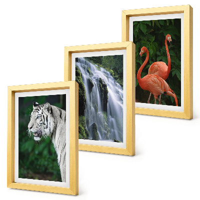 Bilderset mit rahmen Tigerwasserfall und rosa Flamingos in der Natur