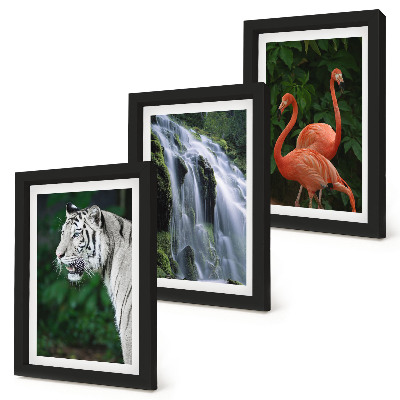 Bilderset mit rahmen Tigerwasserfall und rosa Flamingos in der Natur