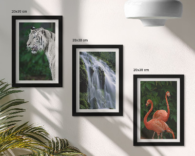 Bilderset mit rahmen Tigerwasserfall und rosa Flamingos in der Natur