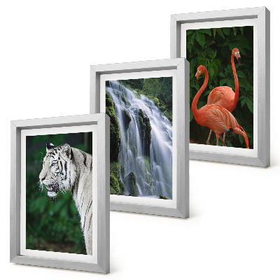 Bilderset mit rahmen Tigerwasserfall und rosa Flamingos in der Natur
