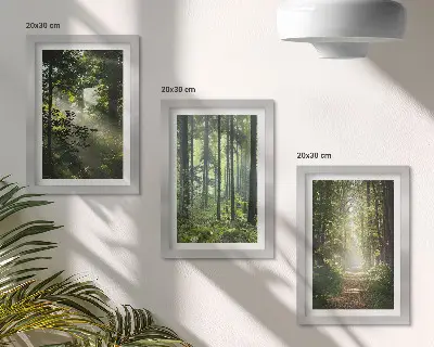 Bilderwand mit grünen Wäldern, Lichtstrahlen und einem Waldweg