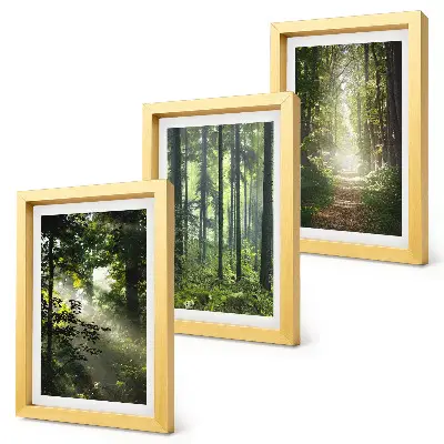Bilderwand mit grünen Wäldern, Lichtstrahlen und einem Waldweg