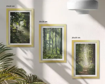Bilderwand mit grünen Wäldern, Lichtstrahlen und einem Waldweg