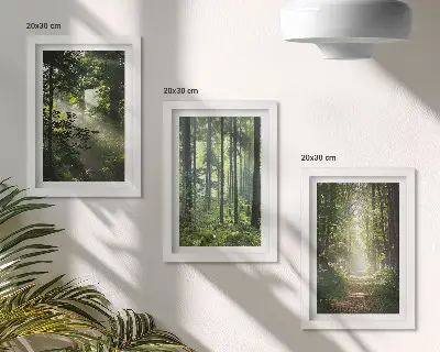 Bilderwand mit grünen Wäldern, Lichtstrahlen und einem Waldweg