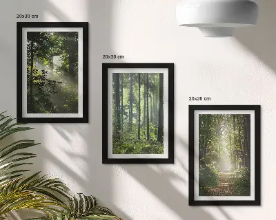Bilderwand mit grünen Wäldern, Lichtstrahlen und einem Waldweg