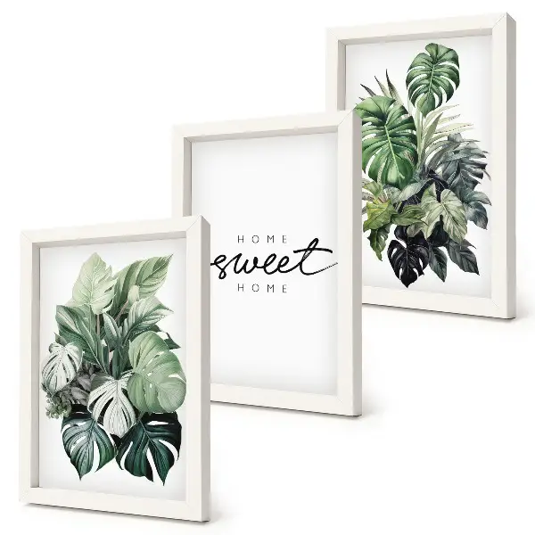 Bilderwand mit grünen Pflanzen und Sweet Home Schriftzug