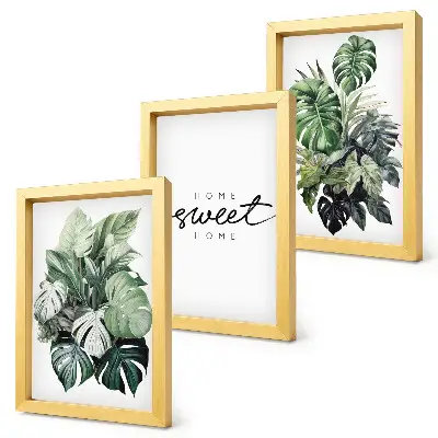 Bilderwand mit grünen Pflanzen und Sweet Home Schriftzug