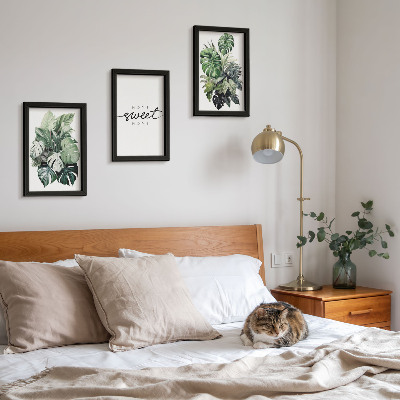 Bilderwand Grüne Pflanzen mit der Aufschrift „Sweet Home“