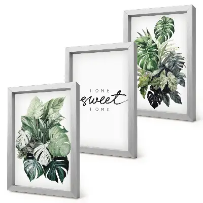 Bilderwand mit grünen Pflanzen und Sweet Home Schriftzug