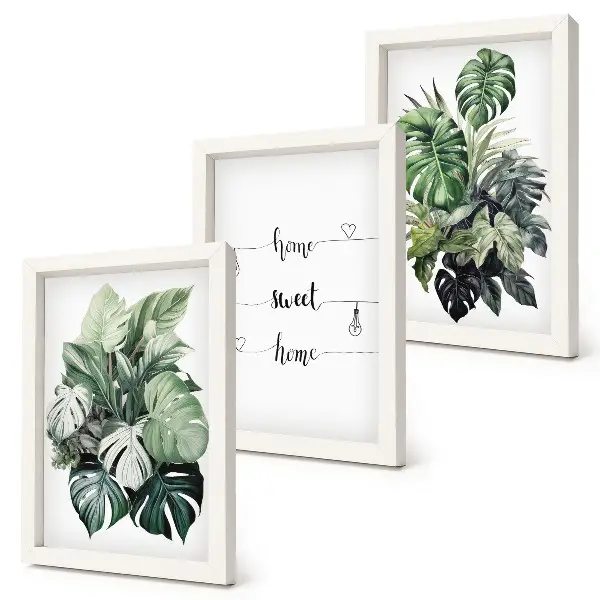 Fotowand mit Aquarell Monstera Blättern und dem Spruch Zuhause ist es am schönsten