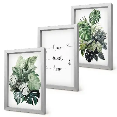 Fotowand mit Aquarell Monstera Blättern und dem Spruch Zuhause ist es am schönsten