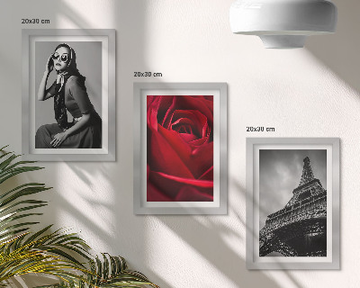 Bilderwand Pariserin mit rosafarbener Brille und der Eiffelturm