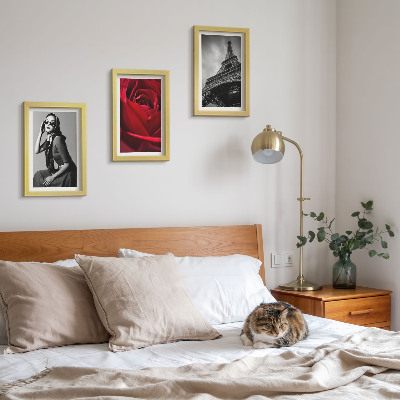 Bilderwand Pariserin mit rosafarbener Brille und der Eiffelturm
