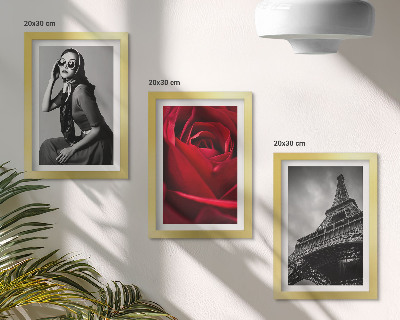 Bilderwand Pariserin mit rosafarbener Brille und der Eiffelturm