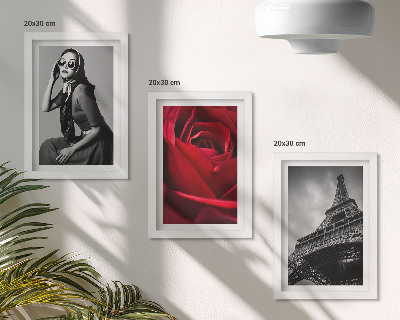 Bilderwand Pariserin mit rosafarbener Brille und der Eiffelturm