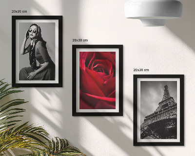 Bilderwand Pariserin mit rosafarbener Brille und der Eiffelturm