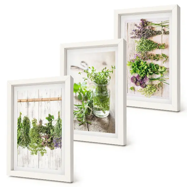 Bilderwand zum Trocknen von Kräutern und Pflanzen für die Küche