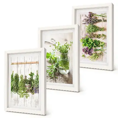 Bilderwand zum Trocknen von Kräutern und Pflanzen für die Küche