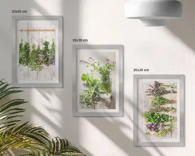 Bilderwand zum Trocknen von Kräutern und Pflanzen für die Küche