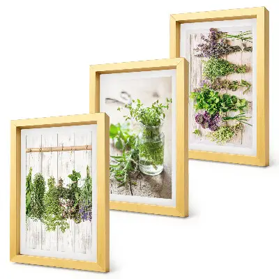 Bilderwand zum Trocknen von Kräutern und Pflanzen für die Küche