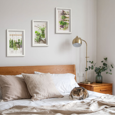 Bilderwand Trocknen von Kräutern und Pflanzen für die Küche