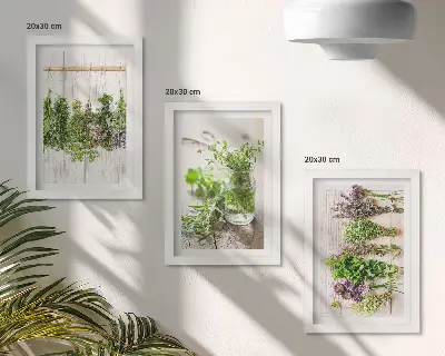 Bilderwand zum Trocknen von Kräutern und Pflanzen für die Küche