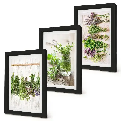 Bilderwand zum Trocknen von Kräutern und Pflanzen für die Küche
