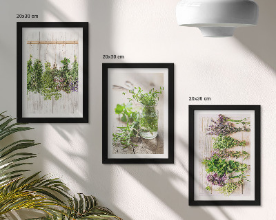Bilderwand Trocknen von Kräutern und Pflanzen für die Küche