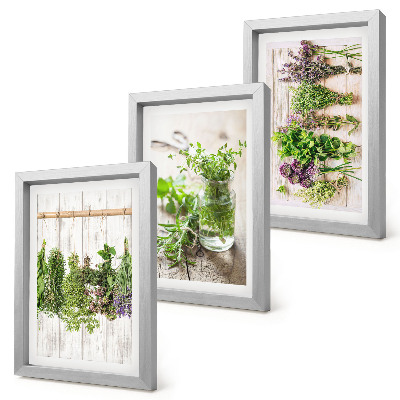 Bilderwand Trocknen von Kräutern und Pflanzen für die Küche