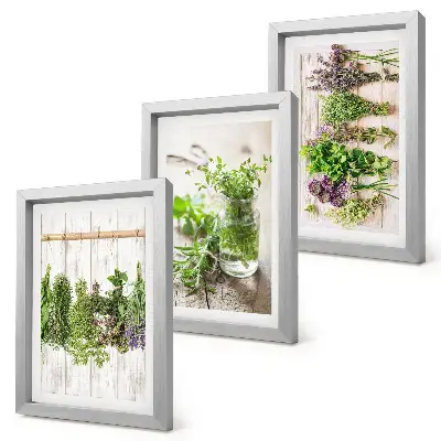 Bilderwand zum Trocknen von Kräutern und Pflanzen für die Küche