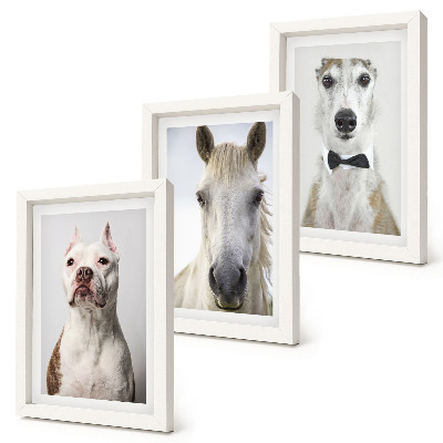 Fotowand Interessante Porträts von Hunden und Pferden in elegantem Stil