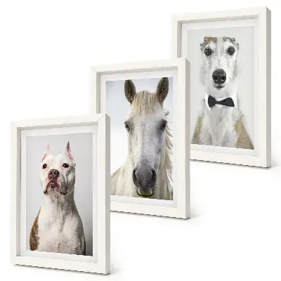 Fotowand mit interessanten Porträts von Hunden und Pferden in elegantem Stil