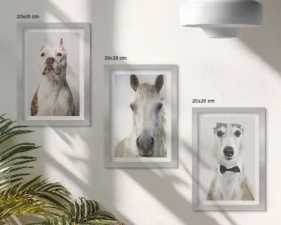 Fotowand mit interessanten Porträts von Hunden und Pferden in elegantem Stil