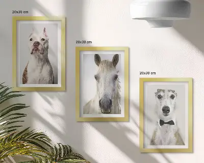 Fotowand mit interessanten Porträts von Hunden und Pferden in elegantem Stil