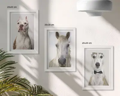 Fotowand mit interessanten Porträts von Hunden und Pferden in elegantem Stil