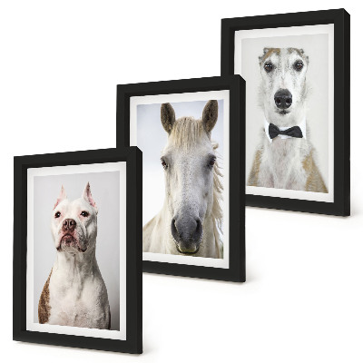 Fotowand Interessante Porträts von Hunden und Pferden in elegantem Stil