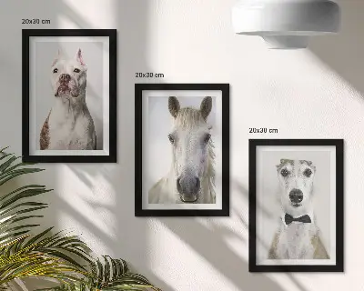 Fotowand mit interessanten Porträts von Hunden und Pferden in elegantem Stil
