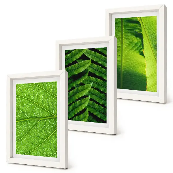 Bilderwand mit Nahaufnahmen von tropischen Blättern