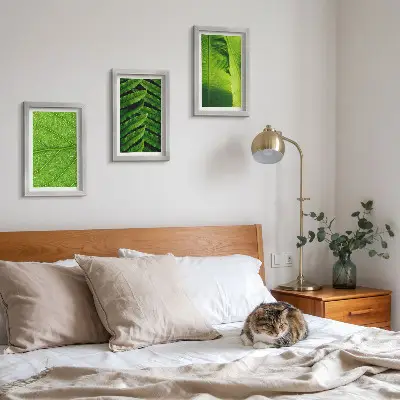 Bilderwand mit Nahaufnahmen von tropischen Blättern