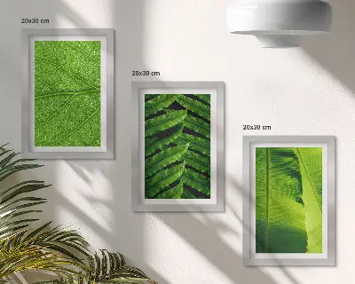Bilderwand mit Nahaufnahmen von tropischen Blättern