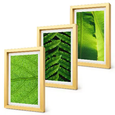 Bilderwand mit Nahaufnahmen von tropischen Blättern