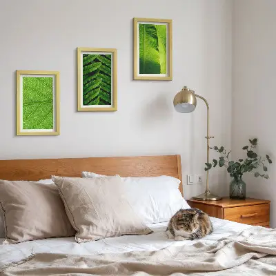 Bilderwand mit Nahaufnahmen von tropischen Blättern