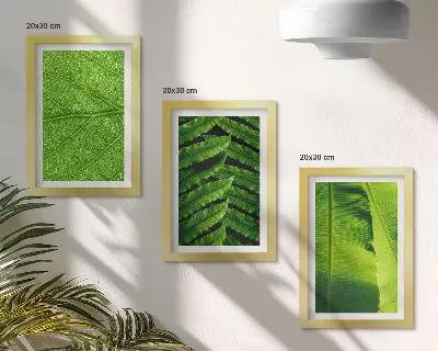 Bilderwand mit Nahaufnahmen von tropischen Blättern