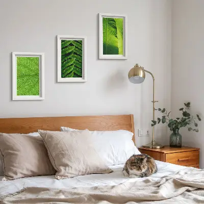 Bilderwand mit Nahaufnahmen von tropischen Blättern