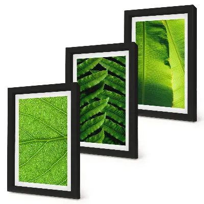 Bilderwand mit Nahaufnahmen von tropischen Blättern